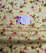 Allover Imported Zari 2-PC - Image 3